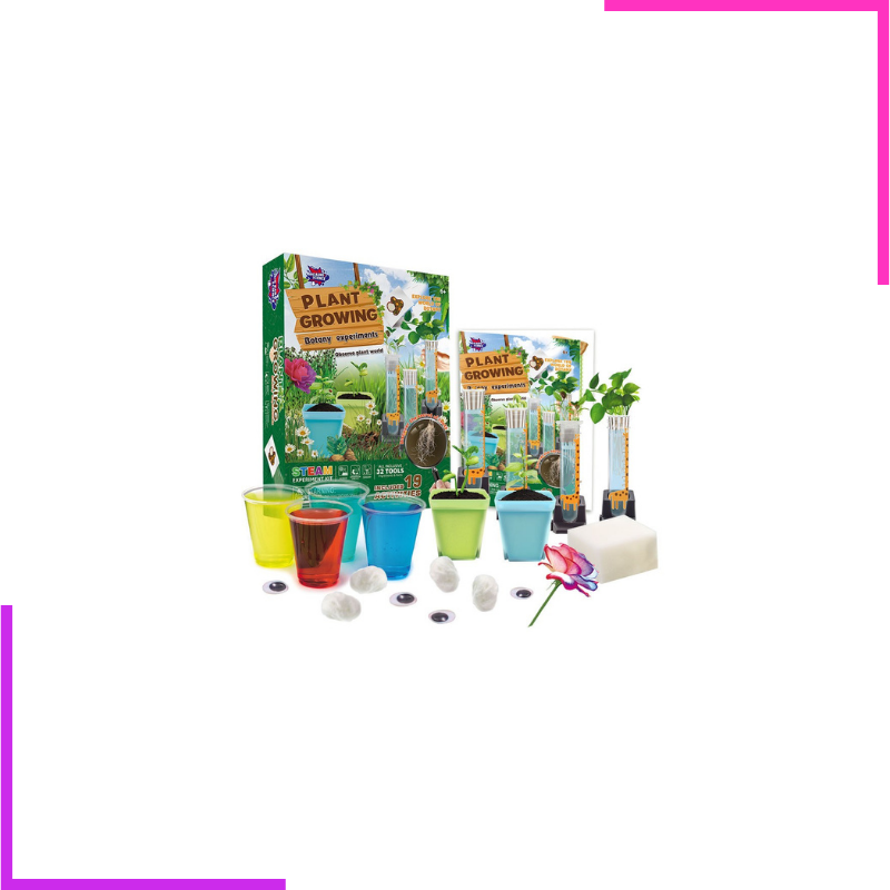 Jeu d'expériences de botanique